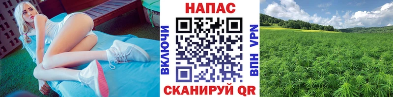 Купить наркотики Иркутск Амфетамин ГЕРОИН Мефедрон МАРИХУАНА Гашиш Альфа ПВП