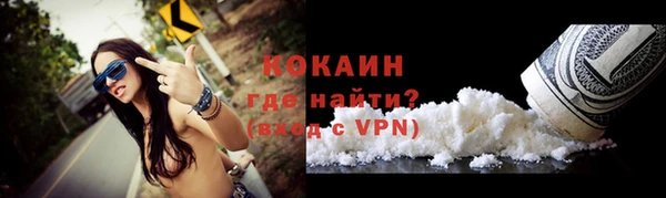 мяу мяу мука Аркадак